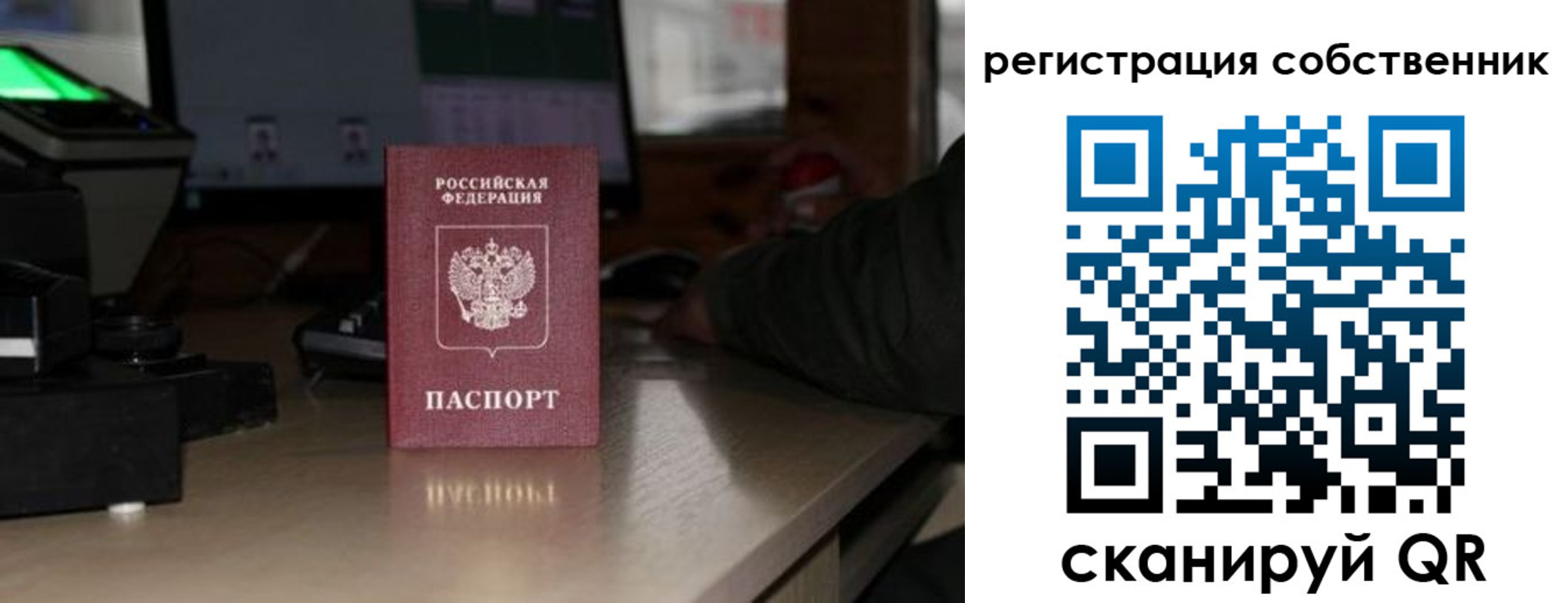 прописка поиск в Каргате
